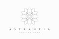 Astrantia Flower Logo Floral Sacred Geometry Business Fashion Perfume Bouquet