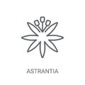 Astrantia icon. Trendy Astrantia logo concept on white backgroun