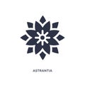 astrantia icon on white background. Simple element illustration from nature concept