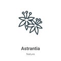 Astrantia outline vector icon. Thin line black astrantia icon, flat vector simple element illustration from editable nature