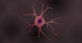 Astrocyte or astroglia in 3D illustration