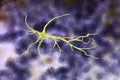 Astrocyte, a brain glial cell