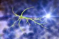 Astrocyte, a brain glial cell