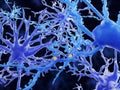 Astrocytes support synaptic communication between neurons Royalty Free Stock Photo