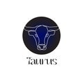 Astrological zodiac sign Taurus in line art style on dark blue Zodiak astrology symbol Royalty Free Stock Photo