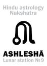 Astrology: Lunar station ASHLESHA (nakshatra) Royalty Free Stock Photo