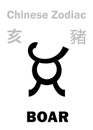 Astrology: BOAR (sign of Chinese Zodiac)