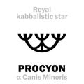 Astrology: PROCYON (The Royal Behenian kabbalistic star) Royalty Free Stock Photo