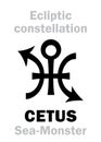 Astrology: Sign of constellation CETUS (The Sea-Monster) Royalty Free Stock Photo