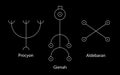 Astrology Stars, PROCYON or Canis Minor, GIENAH or Corvus, ALDEBARAN or Oculus Tauri. Set Hieroglyphic sign, hermetic kabbalistic Royalty Free Stock Photo