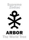 Astrology: Supreme Zodiac: ARBOR (The World Tree) ~ Cassiopeia (ÃÂ«Throne of heavensÃÂ»)