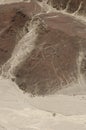 Astronaut - Aerial view of the Nazca Lines in Peru