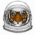 Vector tiger portrait. Animal head. Astronaut animal. Vector portrait. Cosmos and Spaceman. Space illustration about