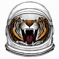 Vector tiger portrait. Animal head. Astronaut animal. Vector portrait. Cosmos and Spaceman. Space illustration about