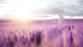 Astronaut with butterflies in lavender field. concept of future. broadcast. 3d rendering. Royalty Free Stock Photo