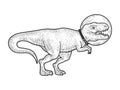 Astronaut cartoon Tyrannosaurus sketch vector