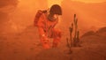 An astronaut discovered a plant on a lifeless red planet Mars. The man was created using 3D computer graphics. The image