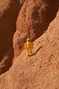 Astronaut exploring mars, concept Royalty Free Stock Photo