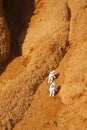 Astronaut exploring mars, concept