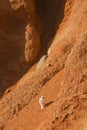 Astronaut exploring mars, concept