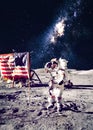 Astronaut on the moon