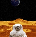 Astronaut on the planet surface. The elements of this image furnished by NASA Royalty Free Stock Photo