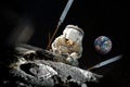 Astronaut repairman repairs something on the moon surface, and the planet Earth behind him on a starry sky. Royalty Free Stock Photo