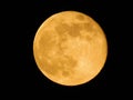 Astronomical phenomenon: super moon in the night sky. Big orange moon