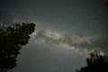 Astrophotography. Milky way in the night sky. Starry sky and dark silhouettes of trees. Royalty Free Stock Photo