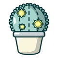 Astrophytum cactus icon, cartoon style