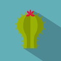 Astrophytum cactus icon, flat style