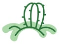 Astrophytum cactus, icon