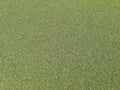 Astroturf Background Royalty Free Stock Photo