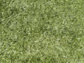 Astroturf Background Royalty Free Stock Photo