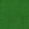 Astroturf seamless tile Royalty Free Stock Photo