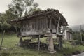 Asturian granary horreo detail, Royalty Free Stock Photo