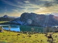 Asturias. Lakes Of Covadonga in Picos De Europa National Park. Spain Royalty Free Stock Photo