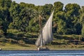 12.11.2018 Aswan, Egypt, A boat felucca sailing along the river nil on a sunny day