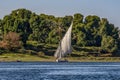 12.11.2018 Aswan, Egypt, A boat felucca sailing along the river nil on a sunny day