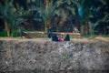 Aswan, Egypt, 24th of December 2018: Daily life on the riverside Nile in Egypt. Poor people living
