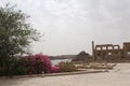 Aswan temple and columns, spring, Egypt Royalty Free Stock Photo