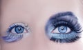 Asymmetrical blue eyes makeup macro closeup silver