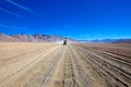 Atacama Desert Bolivia Royalty Free Stock Photo