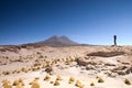 Atacama desert, Bolivia