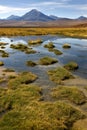 Atacama Desert - Chile Royalty Free Stock Photo