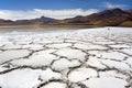 Atacama Desert in Chile Royalty Free Stock Photo