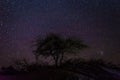 Atacama Desert, Chile - The magical starlit sky of the Atacama Desert, Chile