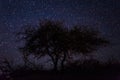 Atacama Desert, Chile - The magical starlit sky of the Atacama Desert, Chile