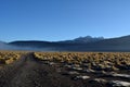 Atacama desert - geysers valley in El Tatio in Chile Royalty Free Stock Photo