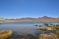 Atacama desert laguna salar panorama Andes chile south america Royalty Free Stock Photo